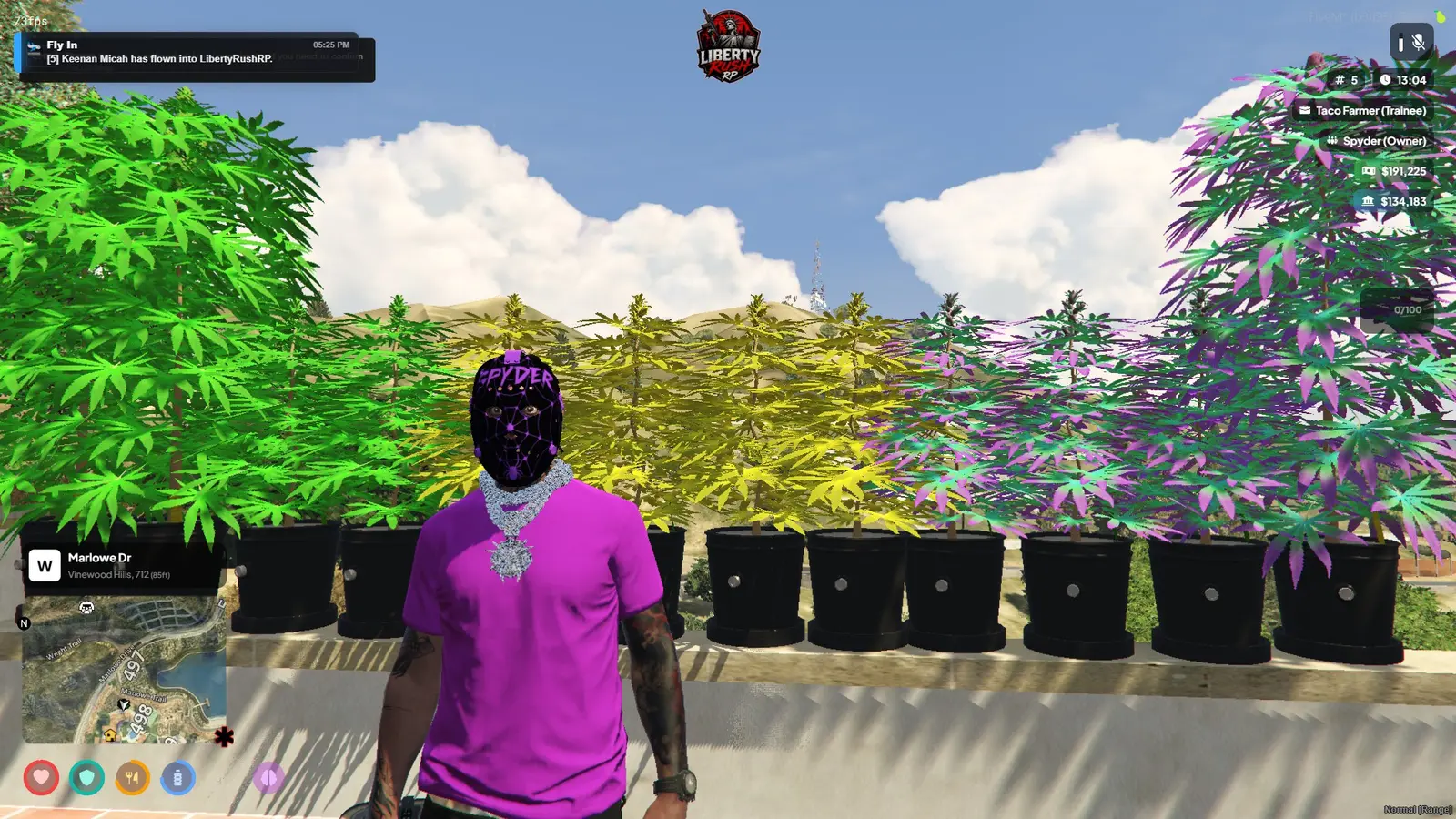 LibertyRush citizen standing inside a colorful city grow operation